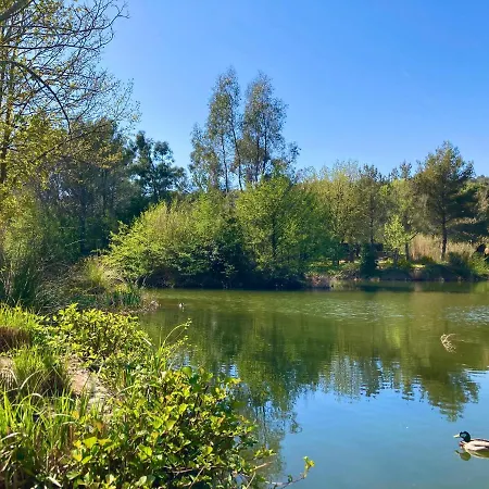 Appartamento Les Restanques Vue 2148